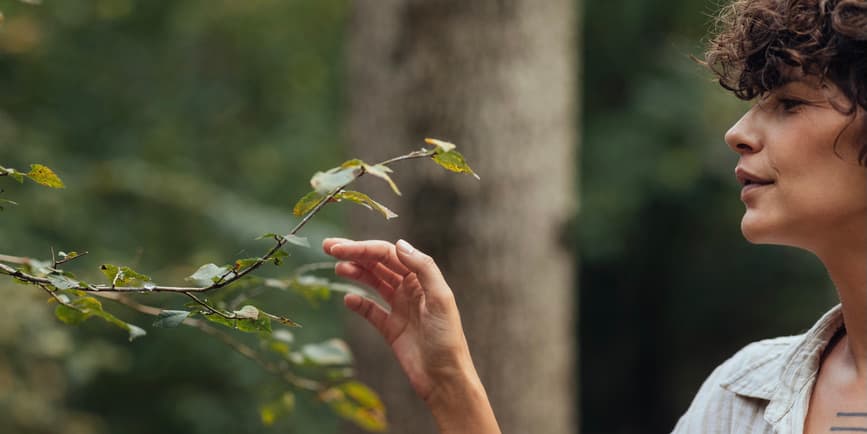 A closeup outdoor color photograph of a white woman with brown hair reaching out to gently touch the leaves of a bush, with trees behind her.