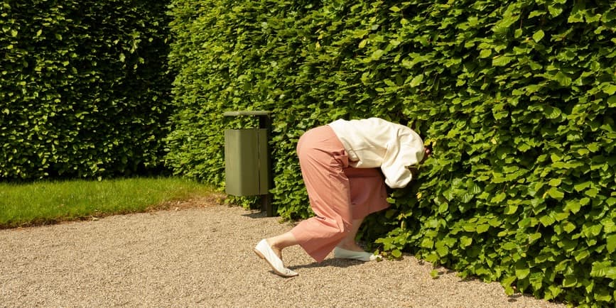 Una mujer con pantalones rosas y un top blanco se arrastra por un frondoso seto verde en busca de algo