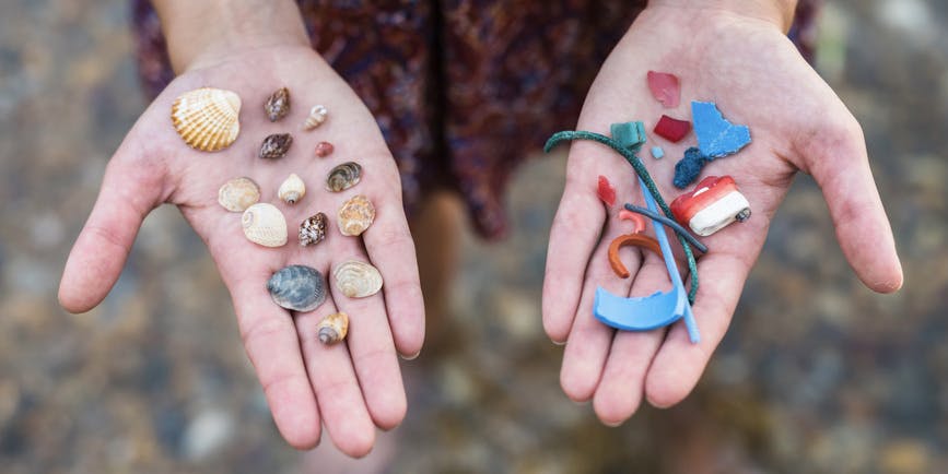 Un primer plano en la playa de las manos de una mujer blanca. Una contiene conchas marinas y otros desechos naturales. La otra contiene pequeños trozos de plástico que se encuentran en la playa.