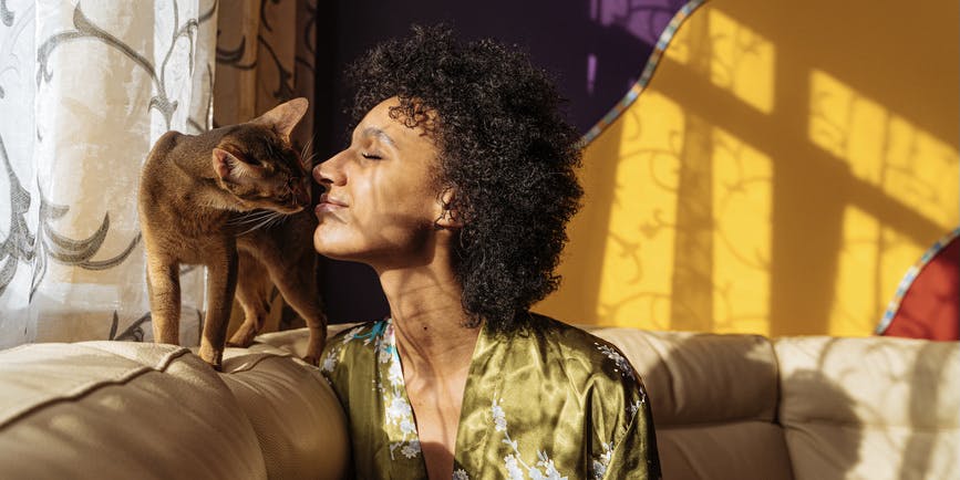 A Black woman with curly dark hair wearing a silk robe sits on her couch against a gold wall, enjoying the sunlight and smiling as she cozies up to an orange cat perching on top of the sofa.