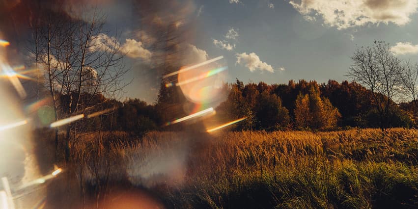 A dreamy outdoor photograph of a field and trees in autumn with speckled sunlight blurring part of the view.