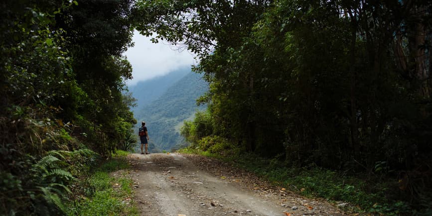 A man stands at the top of hill on dirt road looking out through a clearing in the trees at the mountains