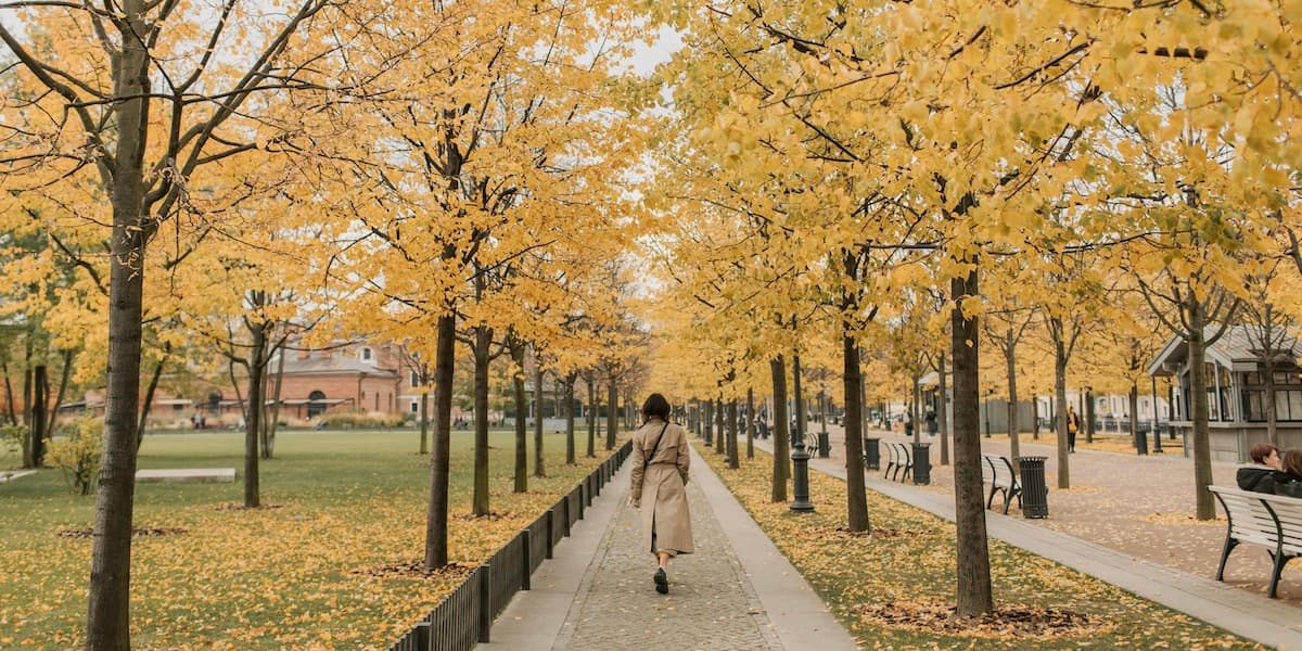 View of an Asian woman wearing a tan trench coat from behind, walking on a street through a park flanked with trees with golden leaves.