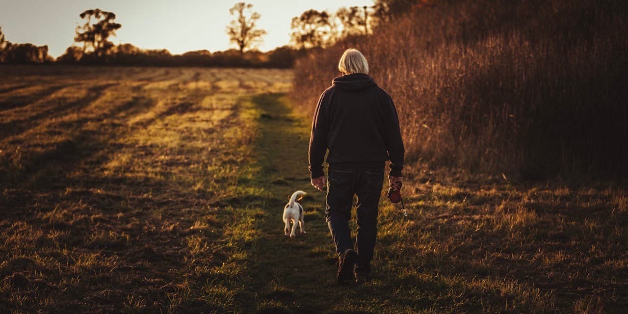 Photograph from behind of an older man with white hair wearing dark clothes walking his dog in a cleared field at sunset in autumn.