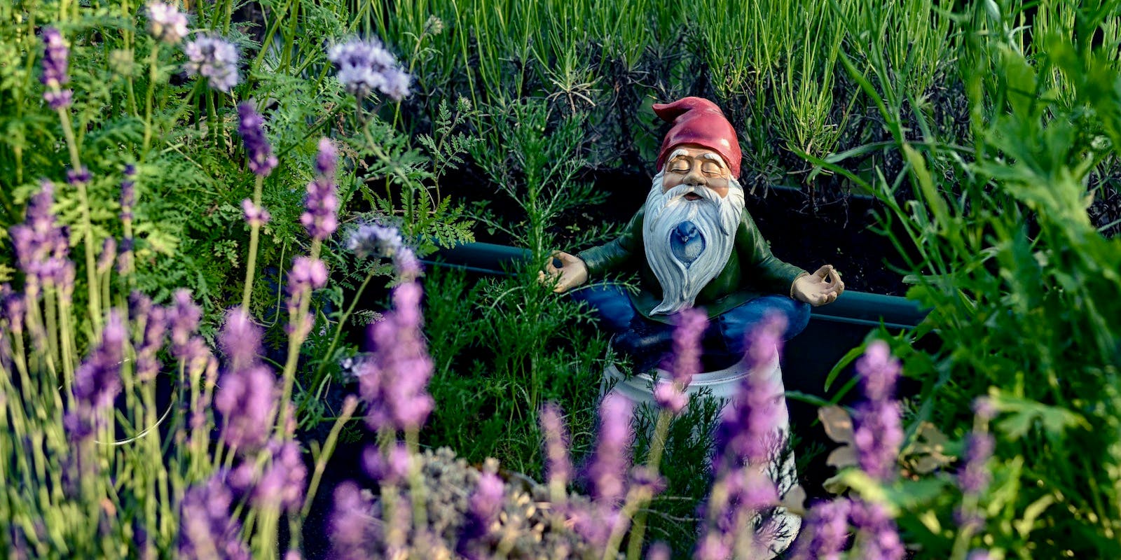 A statue of a gnome meditating sits in a field of tall grass and purple flowers
