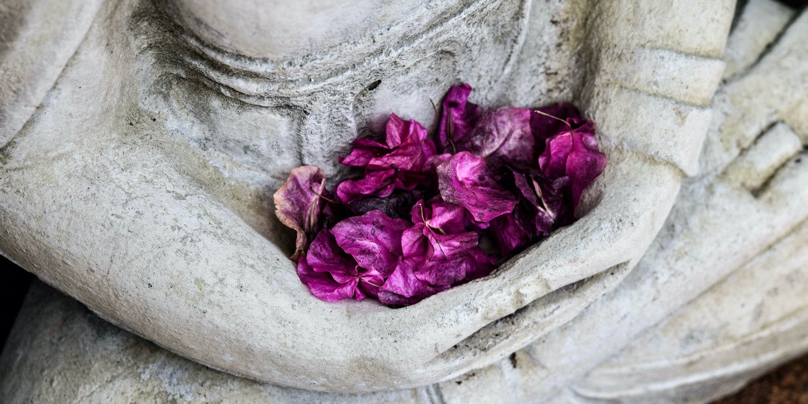 A closeup photograph of a buddha statue's hands full of purple flowers.