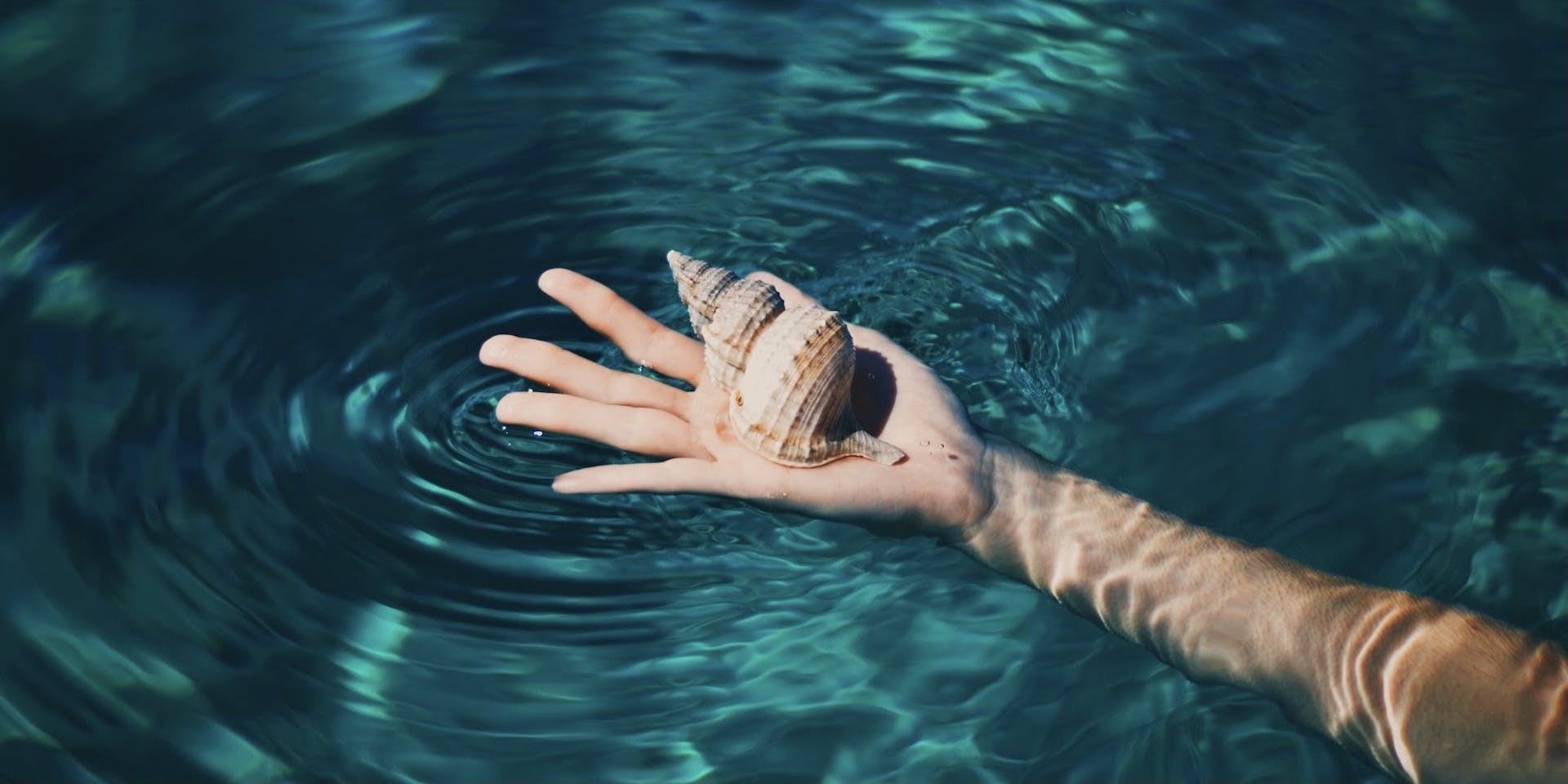 A white person's arm reaches out into a body of turquoise blue water, holding a sea shell.