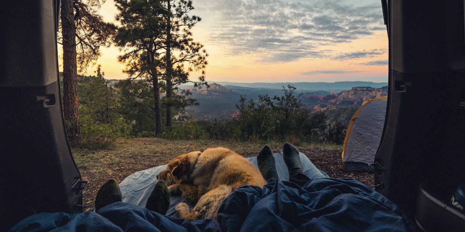 A photograph taken from inside a vehicle shows a broad mountain vista in the distance and a person's legs in a sleeping bag with a large dog sleeping alongside.