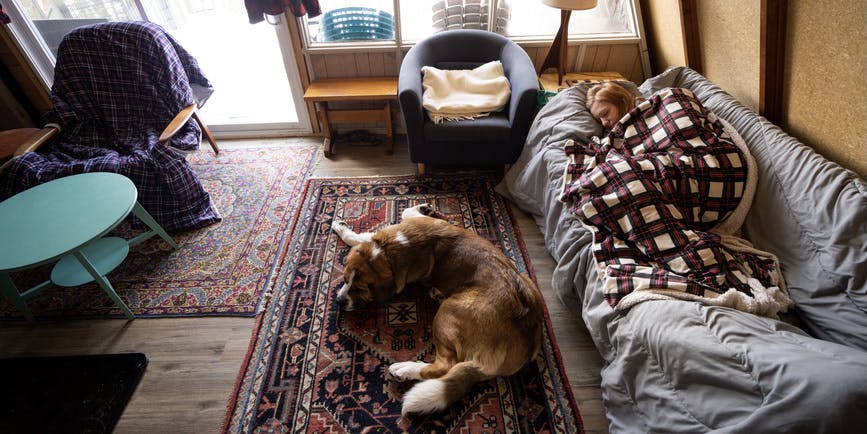 Woman relaxing taking a nap with a large dog (St. Bernard) at a small rustic winter cottage in the Kawarthas, Ontario, Canada.