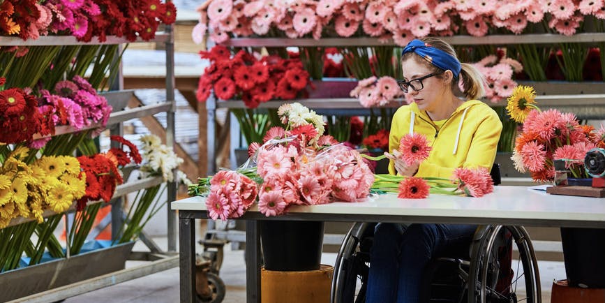 Young white female florist in a colorful outfit arranging gerbera daisies while sitting in wheelchair in a greenhouse.